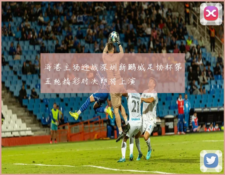 海港主场迎战深圳新鹏城足协杯第五轮精彩对决即将上演