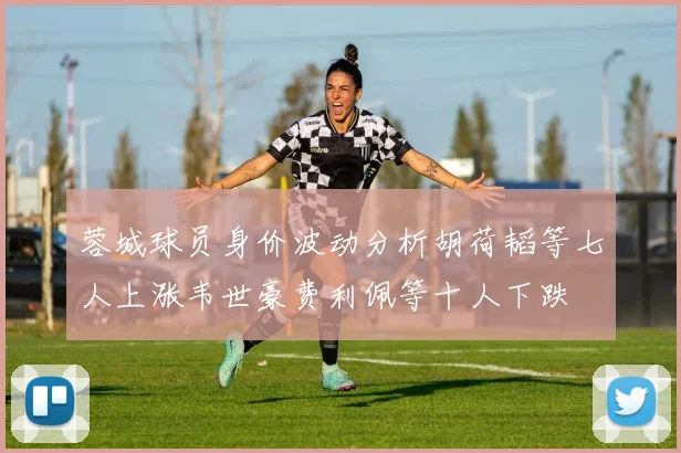 蓉城球员身价波动分析胡荷韬等七人上涨韦世豪费利佩等十人下跌