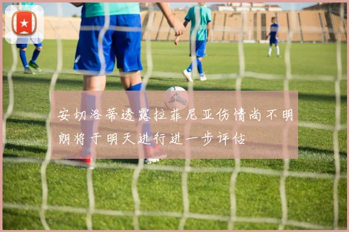 安切洛蒂透露拉菲尼亚伤情尚不明朗将于明天进行进一步评估